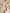 WW | Cover up Boho Stil Lange Ärmel Bikini Gewand Strandoutfits