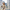 Courtney™ - Trendige Oversize-Jacke mit Knopfverschluss
