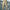 WW | Cargo Jogginghose - Bequeme Jogger mit Taschen & Bündchen für Outdoor & Freizeit