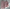 WW | Stylisches und Zweiteiliges Leinen Set