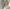 WW | Leinen-Sommer-Set mit langer Hose und Shirt