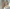 WW | Stylisches und Zweiteiliges Leinen Set