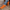 WW | Elegante Schuhe Aus Wildleder Für Männer