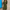 WW | tailliertes stilvolles Kleid