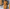 WW | tailliertes stilvolles Kleid