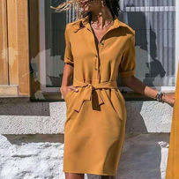 WW | tailliertes stilvolles Kleid