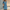 WW | tailliertes stilvolles Kleid