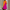 WW | Stylisches Polo-Kleid mit Stretch-Fit und Atmungsaktivem Material