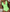 WW – Summer Sensation Badeanzug