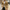 WW | Eleganter Frühlings Trenchcoat Für Herren