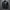 WW | Herren Motorradjacke