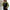 Casual und weiche Kapuzenjacke