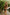 WW | High Waist Colorblock Marine Cut Back Crop Bikini Set