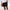 WW | Atmungsaktive Leinen Shorts