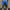 WW | Kordelzug Shorts Für Herren