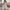 WW | Boho Kleid für Damen