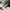 WW | Wildleder Schlupfclogs Mit Verstellbarer Schnalle