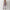 Bodycon Jumpsuit mit ausgestellten Hosen