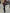 WW | Lederjacke Damen Kunstleder Bikerjacke mit Gürtel