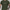 WW | Herren T-Shirt mit Rundhalsausschnitt