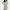 WW | Elegante Bodycon-Kleid Mit Langen Ärmeln Für Frauen