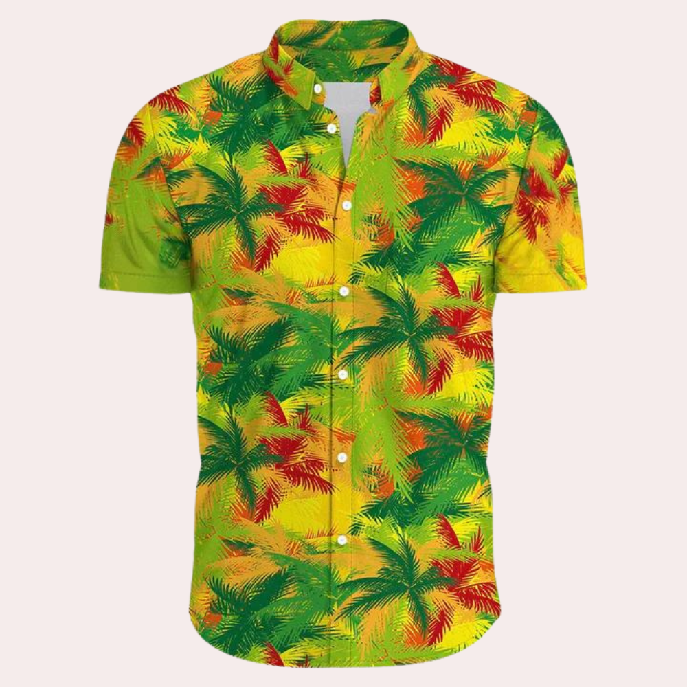 WW | Farbenfrohe und Trendige Hawaii-Hemd für Männer