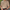 WW | Geripptes Poloshirt Für Herren Modern & Vielseitig