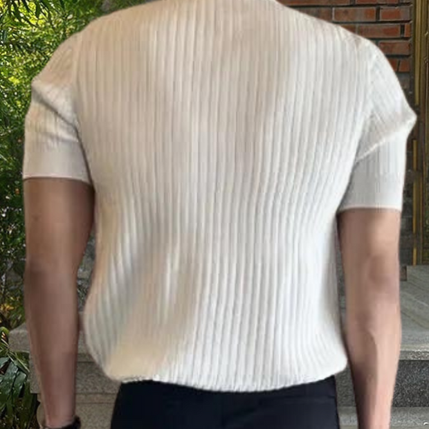 WW | Geripptes Poloshirt Für Herren Modern & Vielseitig