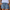 WW | Einfache Passform mit Fransen Jeansshorts für Frauen