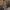 WW | Maxi Damenkleid mit Textdruck