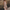 WW | Maxi Damenkleid mit Textdruck