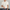 WW | Stilvolles Herren Poloshirt Aus Strick