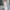 WW | Stylisches Sommer-Maxi-Kleid