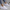 WW | Stilvolle Atmungsaktive Perücken Schuhe für Damen