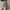 WW | Damen Rock Mit Hoher Taille Und Schleife