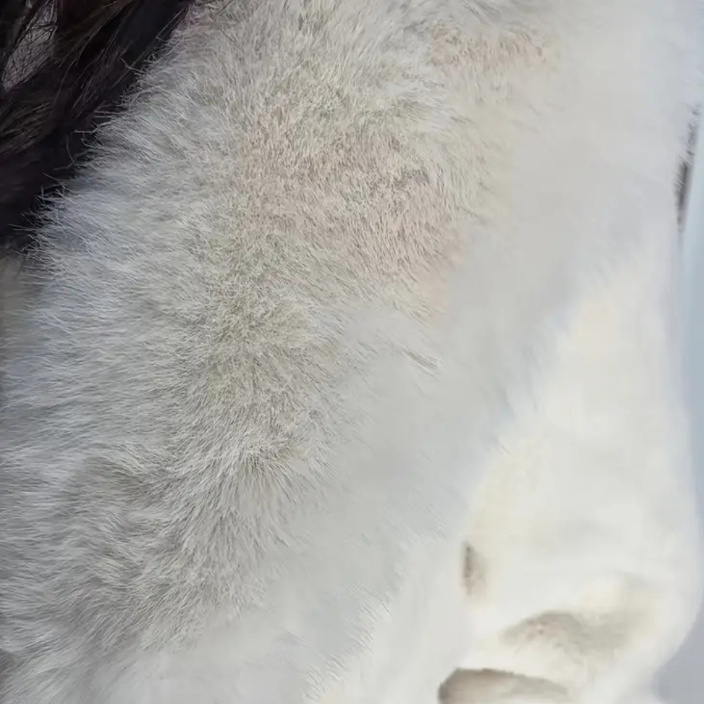 WW | Luxueuze Warme Winterjas Voor Dames