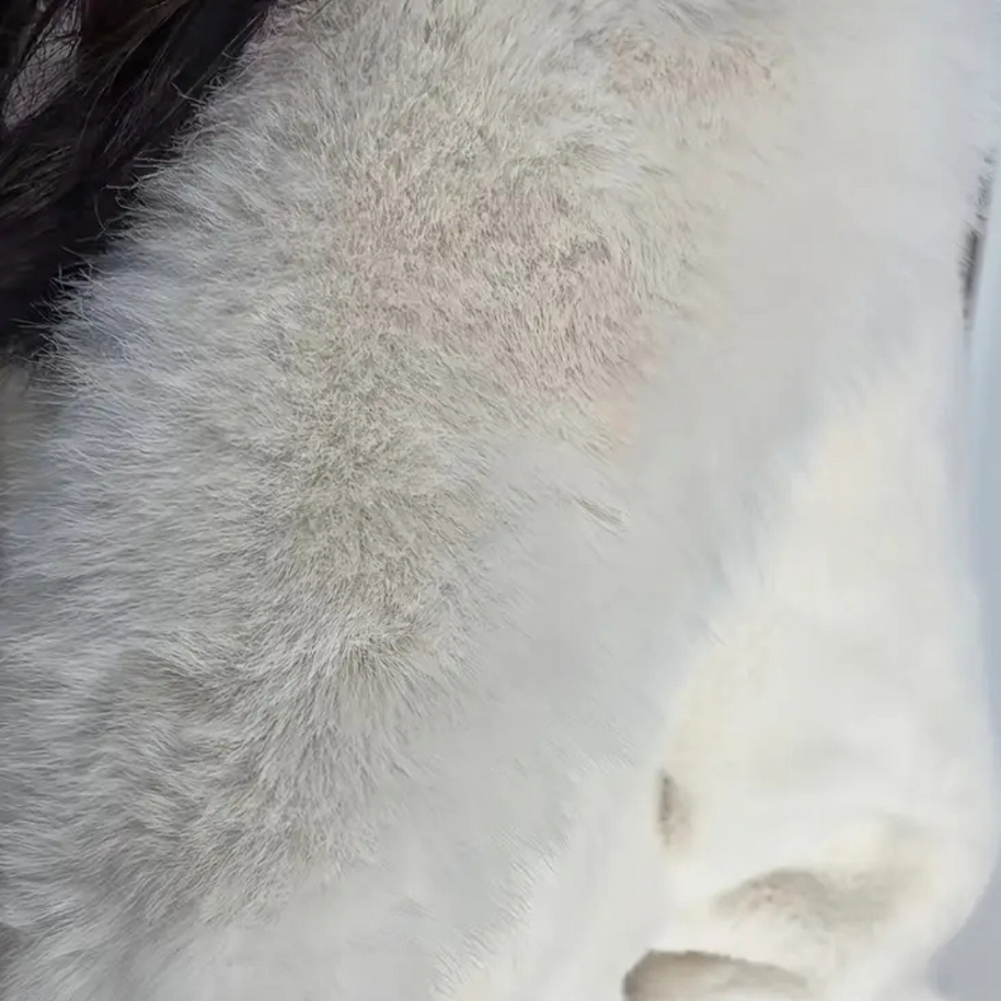 WW | Luxueuze Warme Winterjas Voor Dames