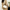 WW | Stramme und Stilvolle Messenger-Tasche