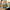 WW | Stramme und Stilvolle Messenger-Tasche