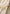 WW | Bestickte Baumwoll Leinen Bluse