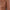 WW | Wetterfester Damen Lederjacke Mit Kapuze