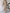 WW | Ord Set Zweiteiler aus Oversize Damenpullover und Hose mit weitem Bein