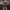 WW | Spagetti Träger Federn Minikleid Partykleid