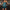WW | Spagetti Träger Federn Minikleid Partykleid