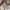 WW | Spagetti Träger Federn Minikleid Partykleid