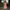 WW | Spagetti Träger Federn Minikleid Partykleid