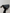 WW - Veganer Leder Crossbody Bag Damen | Modische Tasche