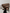 WW - Veganer Leder Crossbody Bag Damen | Modische Tasche
