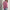 WW – Modischer Strickpullover in Uni mit Rundhalsausschnitt