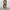 WW Damenanzug | Zweiteiler hose und blazer sommer